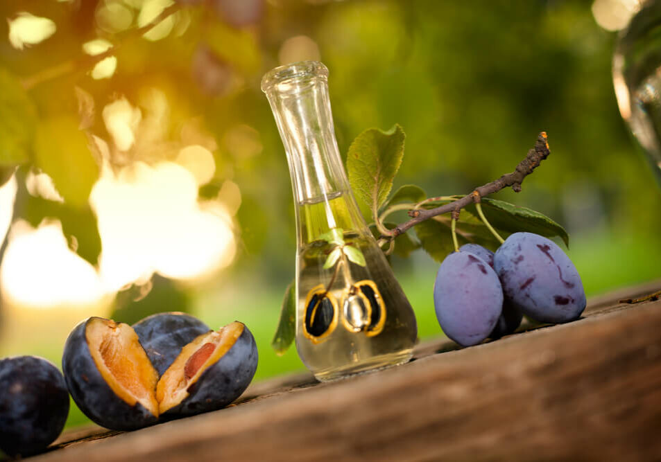 shutterstock_489465619-1 shutterstock_489465619-1